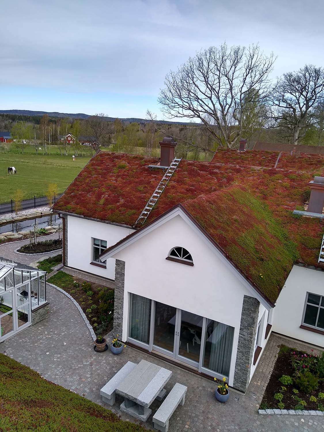 Sedumtak 25-45 efter